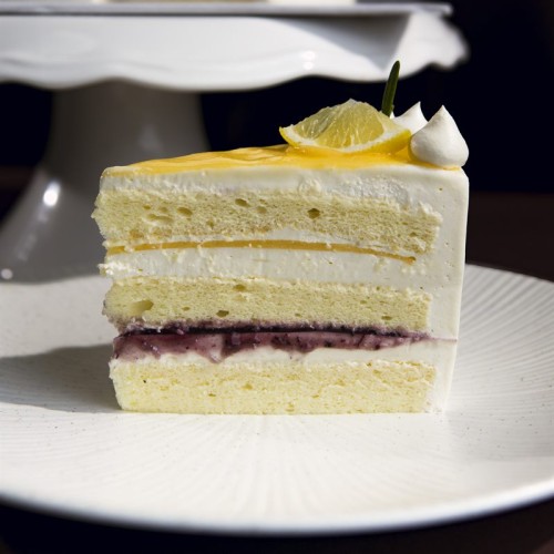 Blueberry Lemon Cake Slice